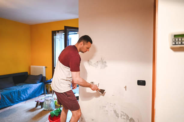 Best Water Damage Restoration  in Loudonville, NY